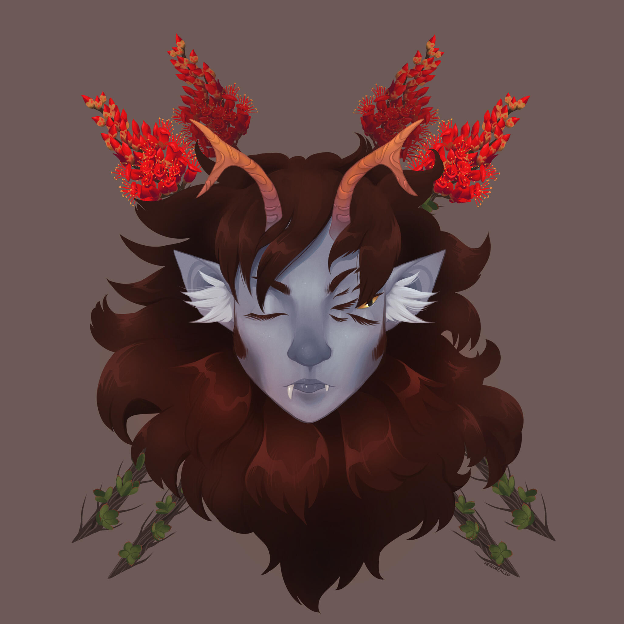 khorah face with ocotillo